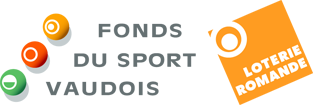 Ffsv Logo Big